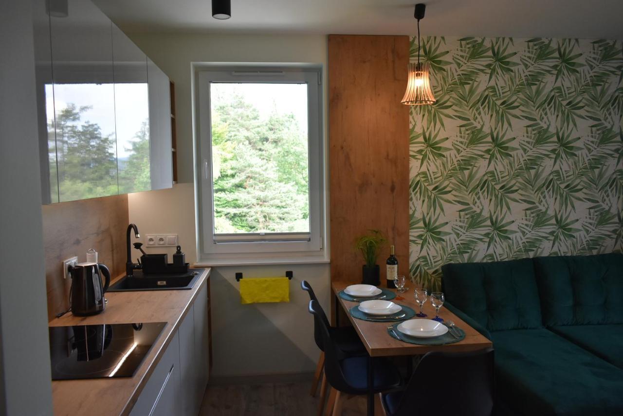 Apartament Resto Свєрадув-Здруй Екстер'єр фото